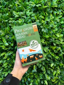 تصویر کرم میلورم 