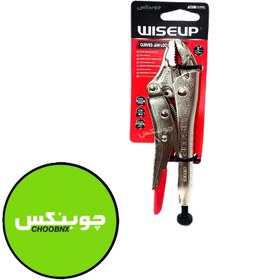 تصویر انبر قفلی سایز کوچک 5 اینچ 125 میلی متری wiseup 