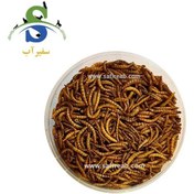 تصویر غذای خشک پرندگان مدل میلورم 