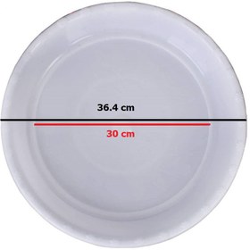 تصویر زیرگلدانی مدل p13 - 36.4 cm (30) - سفید 