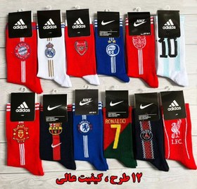 تصویر ساق دار کش انگلیسی 