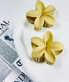 تصویر کلیپس پلومریا جیر - سفید 