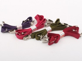 تصویر ساسبند (دارای رنگبندی) 