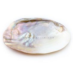 تصویر صدف مادر (mother of pearl) mother of pearl