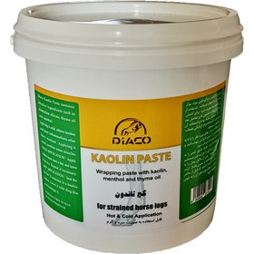 تصویر گچ تاندون دیاکو (Kaolin Paste) 