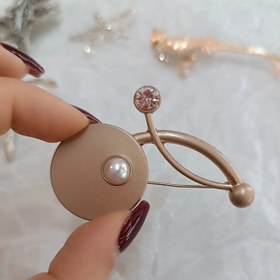 تصویر گل سینه 