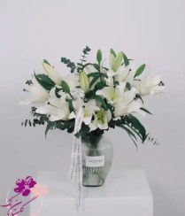 تصویر جارگل اورینتال 