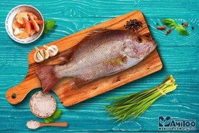 تصویر ماهی سرخو دندوني 