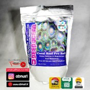 تصویر نمک آکواریوم آب شور Coral Reef Pro Salt برند دیپ اوشن 2 کیلویی 