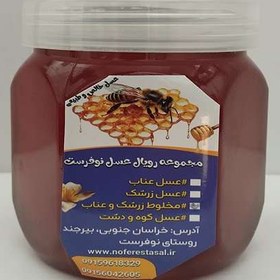 تصویر عسل مخلوط زرشک و عناب 