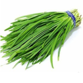 تصویر بذر تره همدان 