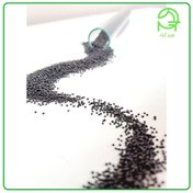 تصویر تخم خرفه و لاغری: واقعیت یا تبلیغ؟ بررسی دقیق و کاربردی 