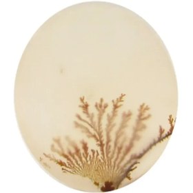 تصویر سنگ شجر کد 3048 