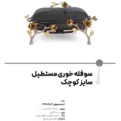 تصویر سوفله مستطیل کوچک مدل آنیکا برند ریتون Rhyton کد 3210907 