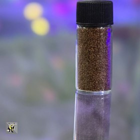 تصویر بذر چمن آکواریوم و تراریوم مدل Monte Carlo حجم ۱۵ میلی لیتر 