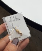 تصویر اویز اسب دریایی 