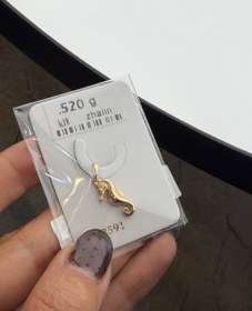 تصویر اویز اسب دریایی 