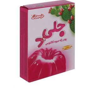 تصویر پودر ژله دراژه وزن ۱۰۰ گرم بسته ۶ عددی 