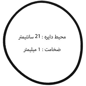 تصویر تسمه ضبط صوت روداستار 21 سانتیمتر با ضخامت 1 میلیمتر 