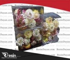 تصویر گل خشک 