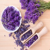 تصویر گل گاوزبان درجه یک 