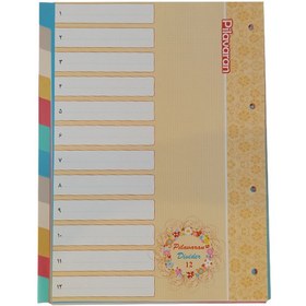 تصویر دیوایدر پیلاوران کد 21 بسته 12 عددی 