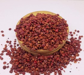 تصویر دان سماق قرمز تبریز 