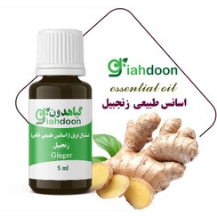 تصویر اسنشیال اویل زنجبیل 