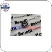 تصویر بلبرینگ واتر پمپ 6001 بنلی 180 اورجینال 