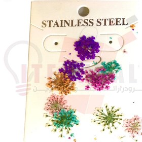 تصویر گل خشک مینیاتوری 