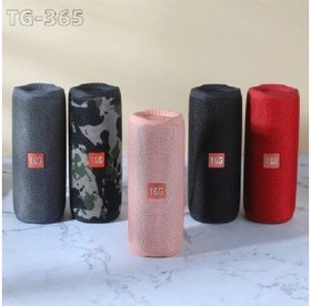 تصویر اسپیکر با کیفیت TG مدل TG365 