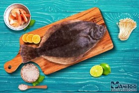 تصویر ماهی کفشک 