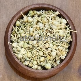 تصویر اسفند غوزه (500 گرم) 