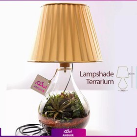 تصویر تراریوم آباژوری 