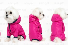 تصویر کاپشن سگ 