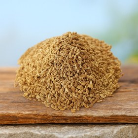 تصویر زنیان 