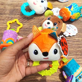 تصویر آویز کریر روباه 