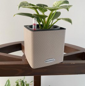 تصویر گلدان رومیزی آبیاری اتوماتیک لچوزا CUBE 14 (کرم ) Lechuza Lechuza Self-watering flowerpot cube-14