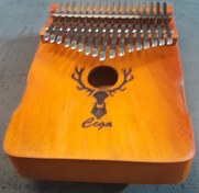 تصویر کالیمبا سگا با هاردکیس و چکش 