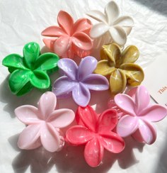 تصویر کلیپس گل پلومریا ماربل 