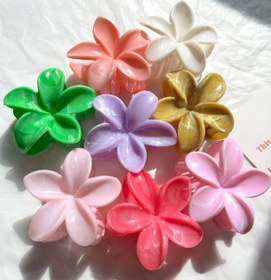 تصویر کلیپس گل پلومریا ماربل 