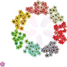 تصویر گل خشک اسپیره (10 عددی) 