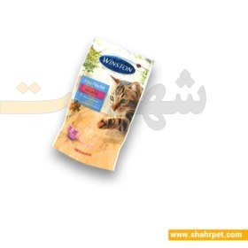 تصویر تشویقی گربه وینستون Mini-Fischli Winston Cat Treat With Slamon