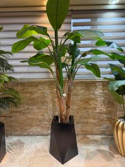 تصویر درختچه موز مصنوعی با گلدان 