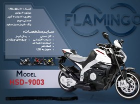 تصویر موتور شارژی فلامینگو flamingo مدل HSD-9003 PANIT 