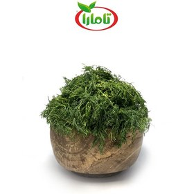 تصویر سبزی شوید تازه کیلویی 