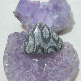 تصویر نگین مرجان فسیلی اصل کد10 