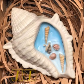 تصویر شات صدفی 