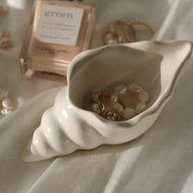 تصویر صدف حلزونی 