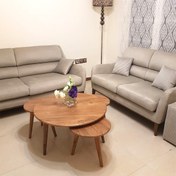 تصویر میز جلو مبلی و عسلی مدل سپیدار H1011 مجموعه ۴ عددی MDF 